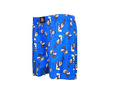 Apple Boxer Looney Tunes ανδρικό μπόξερ ποπλίνα με εσωτερικό λάστιχο και στάμπα ΤΑΖ SKATEBOARD 0142101