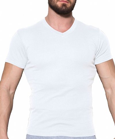 Apple Boxer ανδρικό t/shirt εφαρμοστό με V λαιμόκοψη 0410013