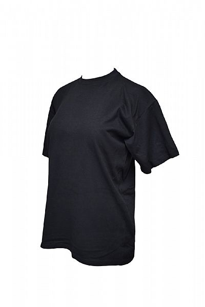 Budget ανδρικό t/shirt με στρογγυλή λαιμόκοψη 0510100