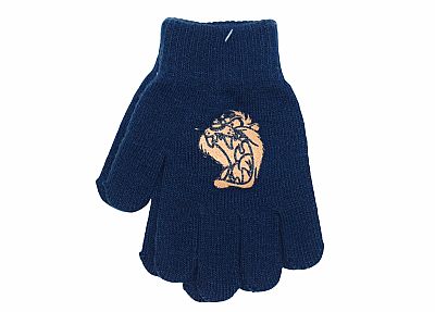 Apple Boxer Παιδικά Γάντια Looney Tunes 0001674